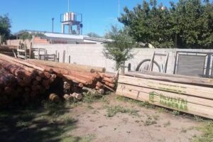 Omar olmos- maderas-