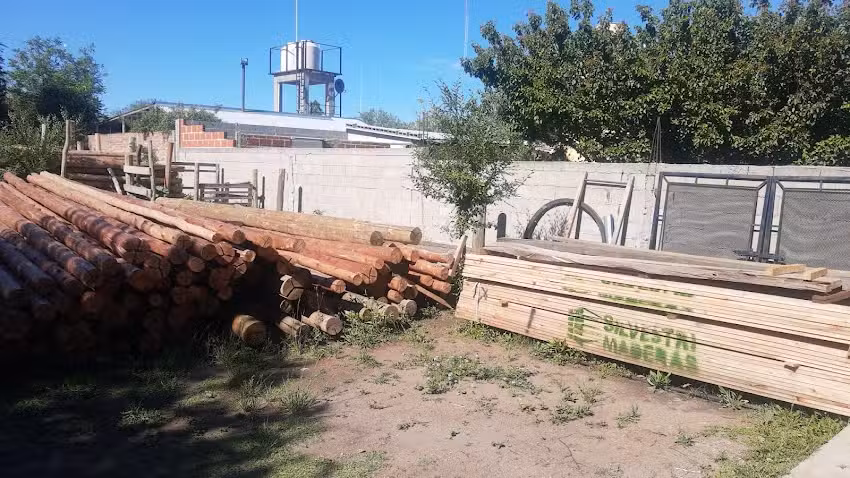 Omar olmos- maderas-