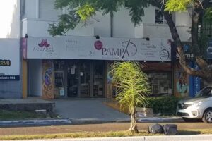 Pampa Artistica Integral