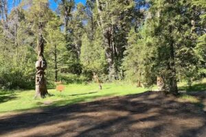 Paseo de esculturas de madera