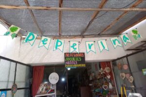 Peperina Artesan&iacute;as en Madera