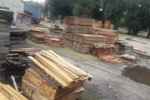 PLACANORTE de Zegna SA