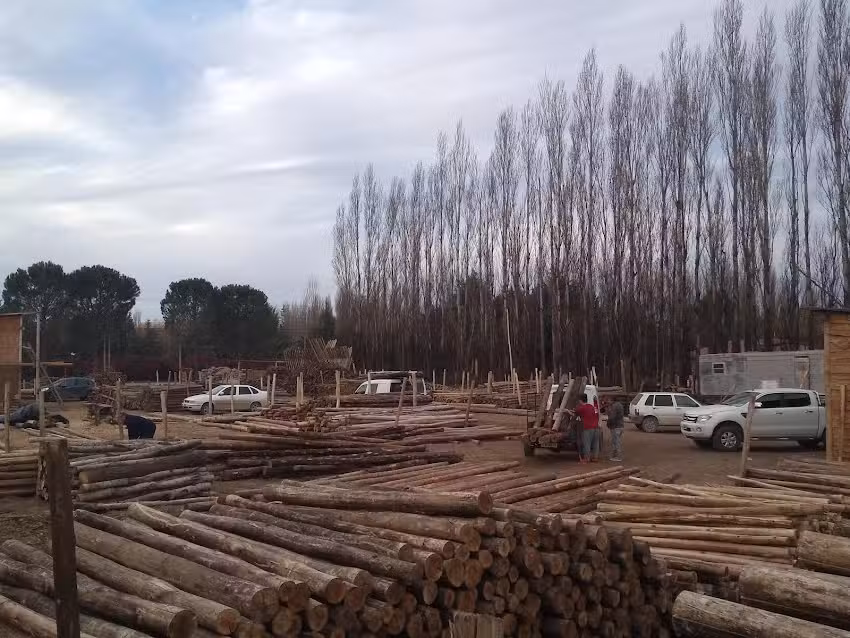 Postes Neuqu&eacute;n Maderas