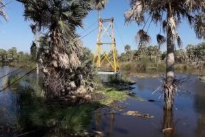 Puente de Madera – Arroyo Los Amores