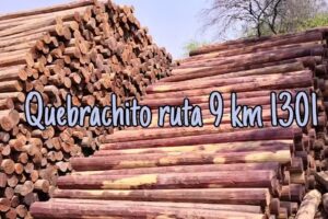 QUEBRACHITO MADERERA