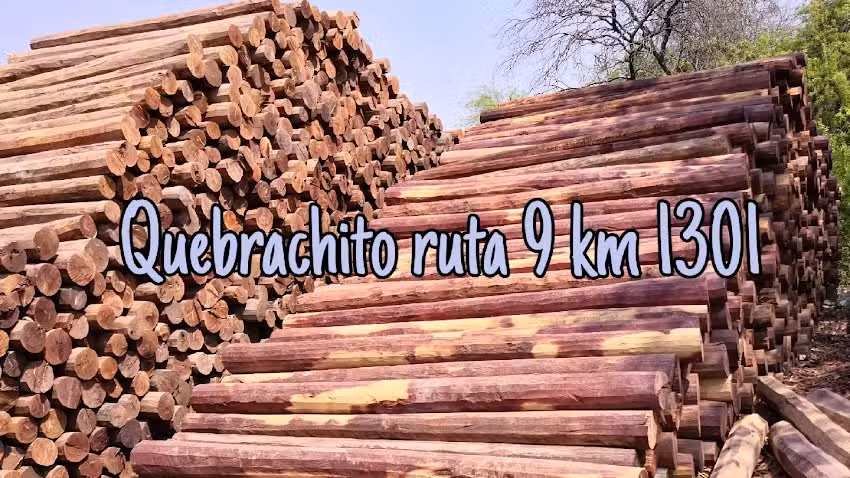 QUEBRACHITO MADERERA