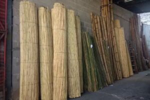 Quinchos los eucaliptus