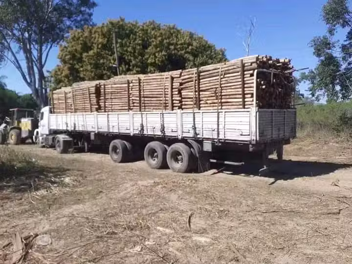 Rollizos. Ca&ntilde;izo, maderas