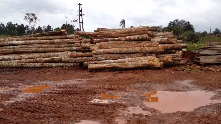 San Vicente Maderas SRL