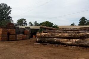 SANTA RITA MSIONES SRL