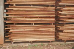 Selva Paranaense SRL