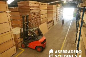 Soldini Stock (ex Aserradero Soldini)