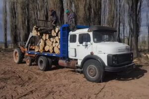 The Black Maderas (Aserradero)