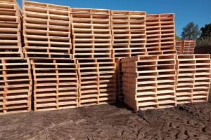 Todo Pallets Saladas SRL