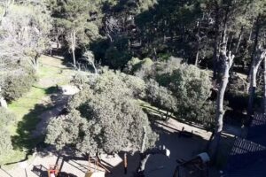 Torner&iacute;a de Madera