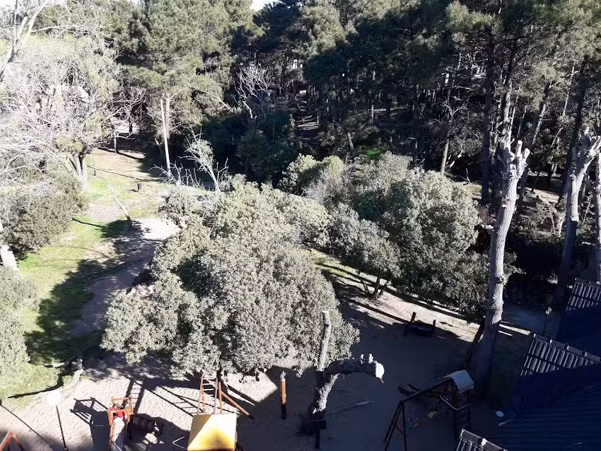 Torner&iacute;a de Madera