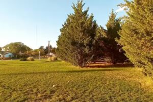 Tren de Madera Alpachiri