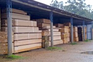 Trozan Maderas S.R.L.