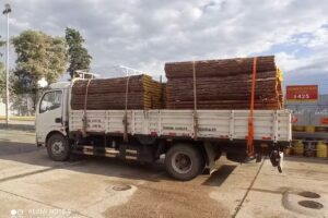 Venta de maderas nativa excelente Calidad
